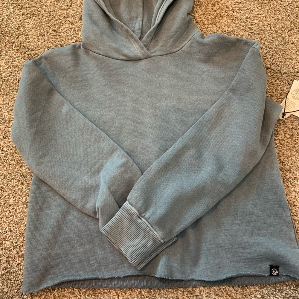 Treasure & Bond Cropped hoodie with raw hem